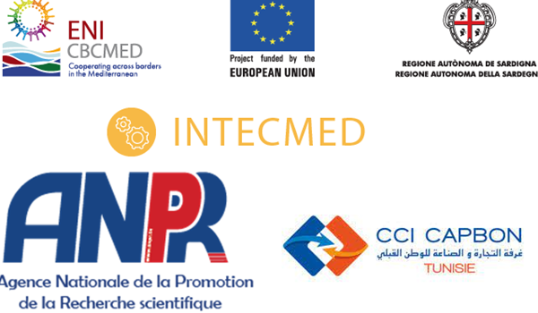 Projet INTECMED : INTECMED EXPO-CONFERENCE, Incubateur d’Innovation et de Transfert technologique